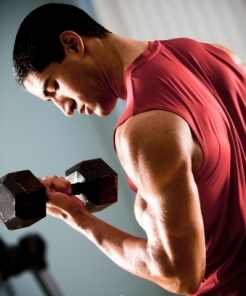Best-Way-to-Build-Muscle-Fast