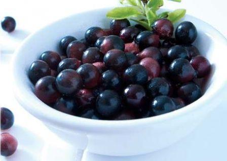 acai berry supplements